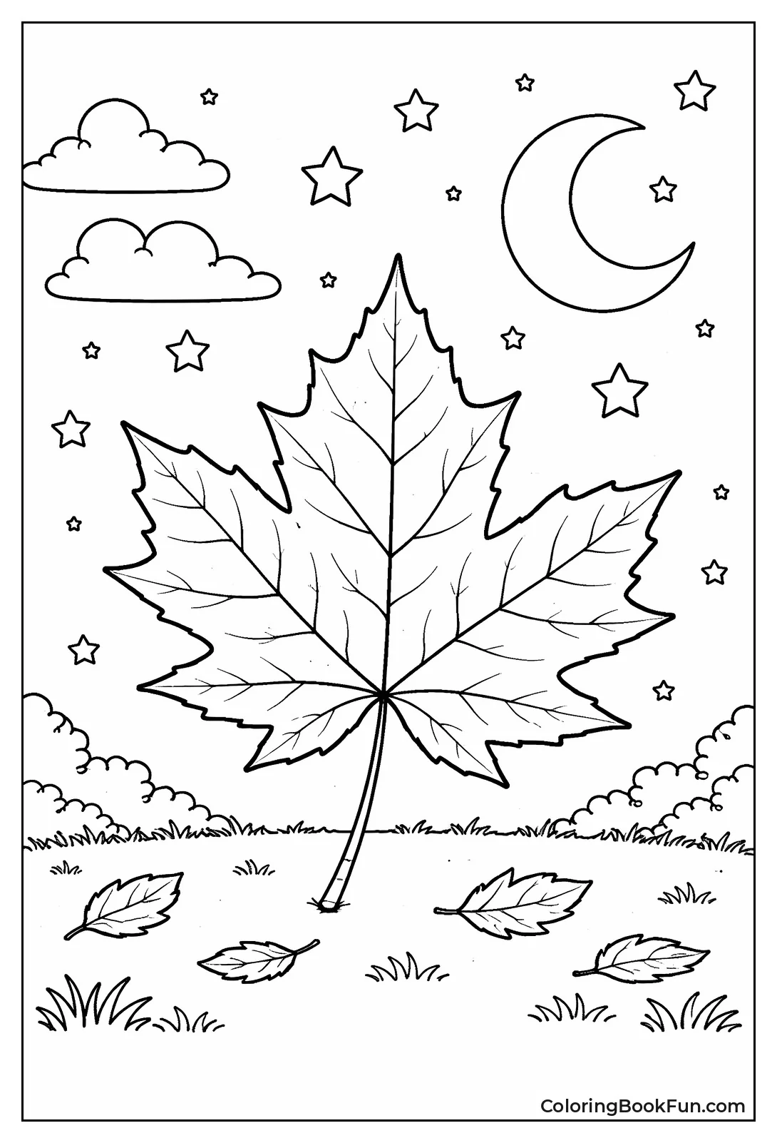 Leaf under Starry Sky