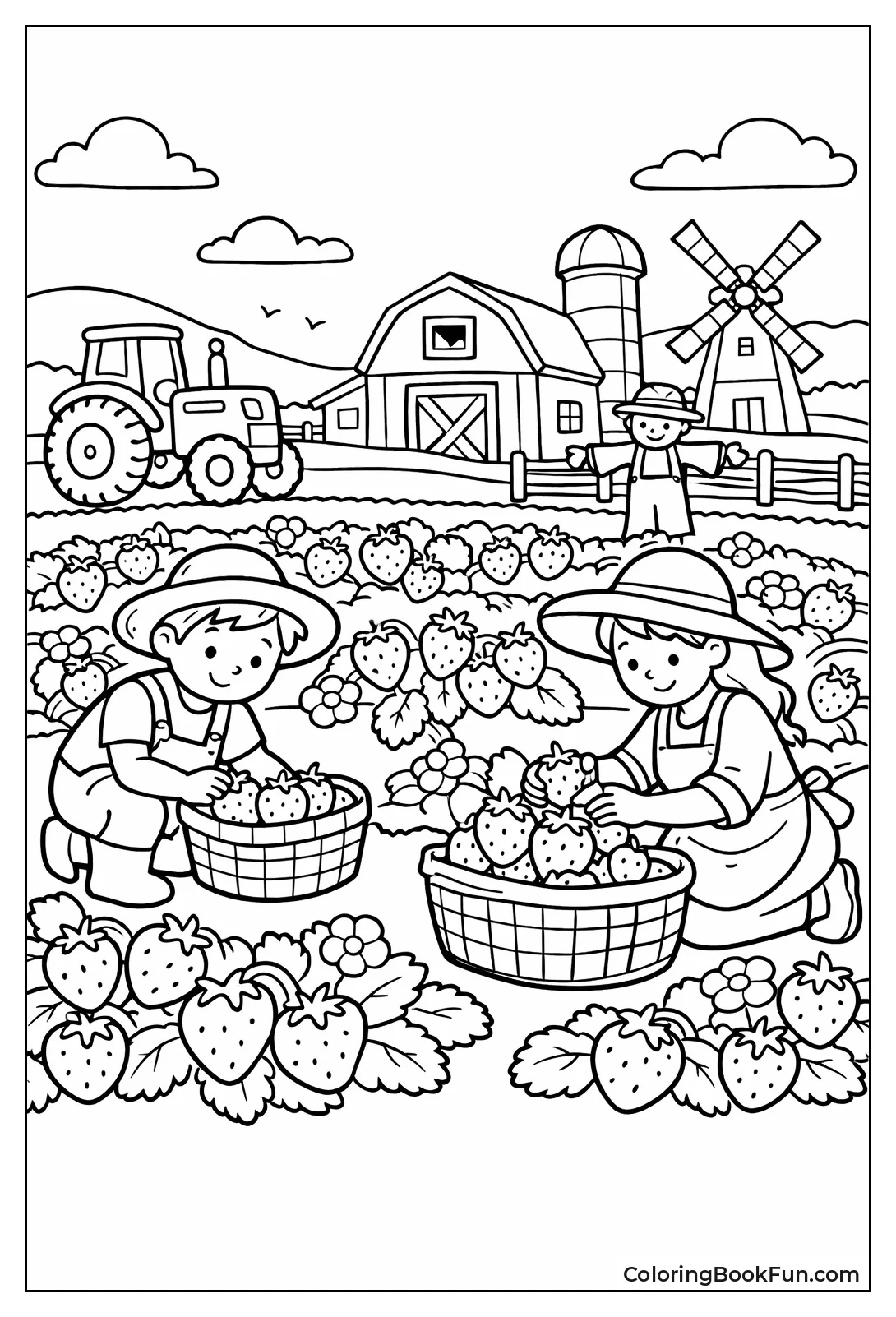 Picking Ripe Strawberries