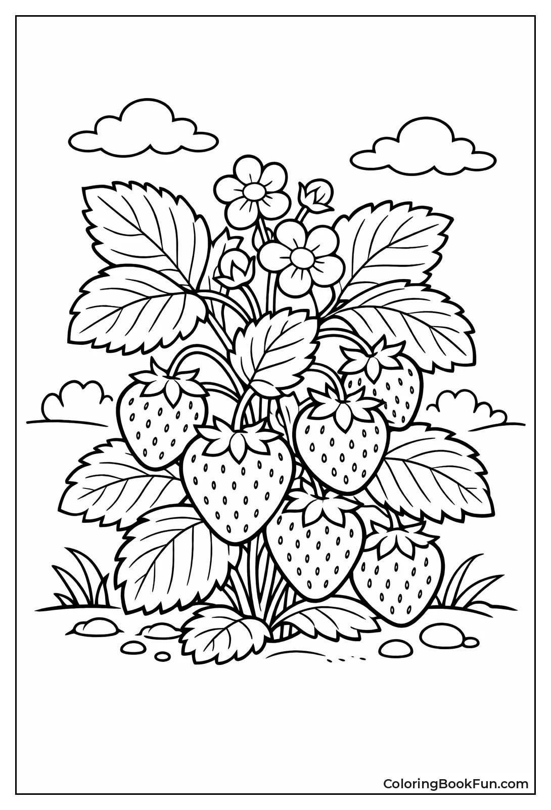 Strawberry Plant with Juicy Berries