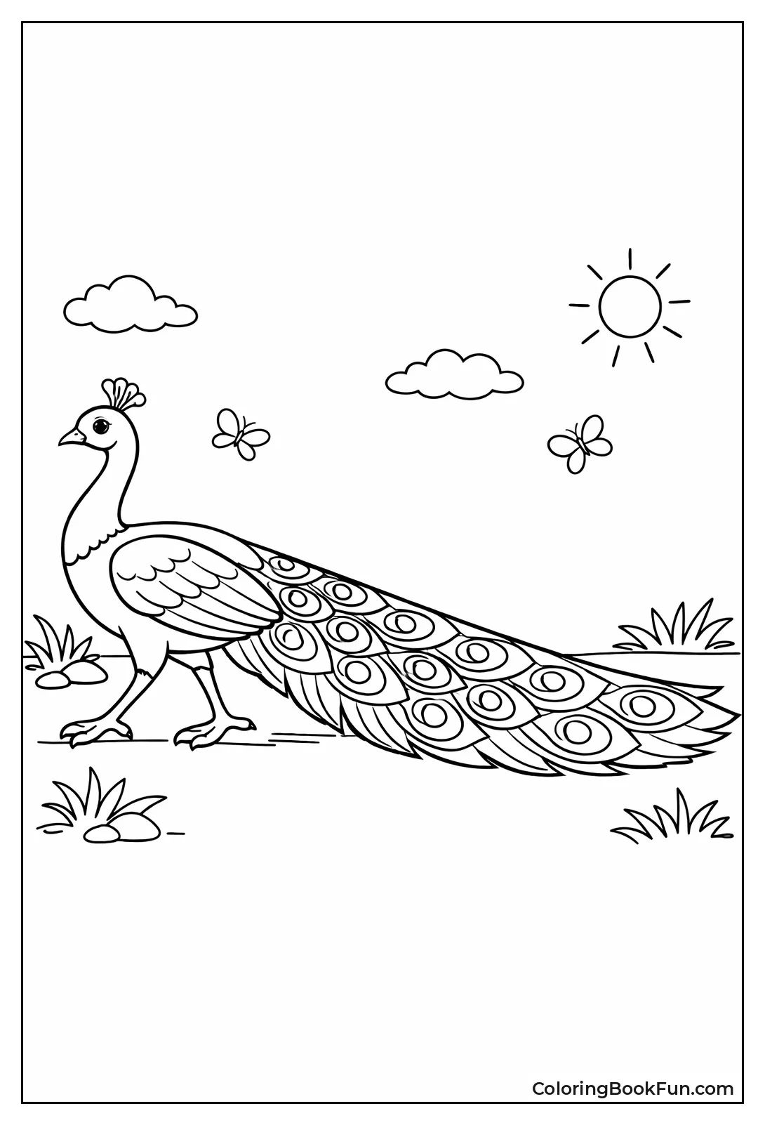 Strutting Peacock Walk