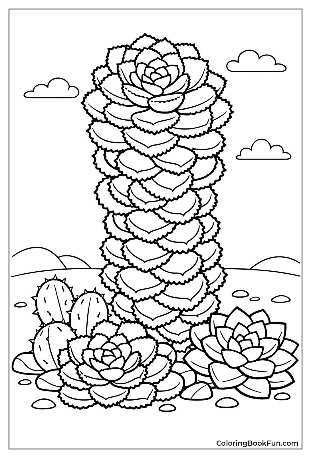 Zipper Aeonium Rosette