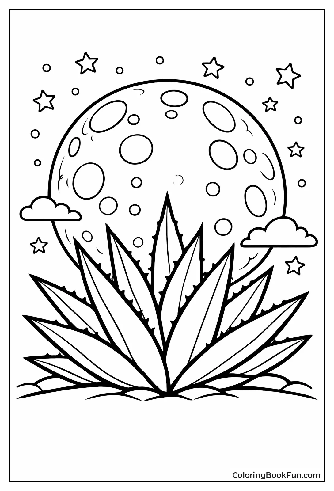 Agave under Full Moon