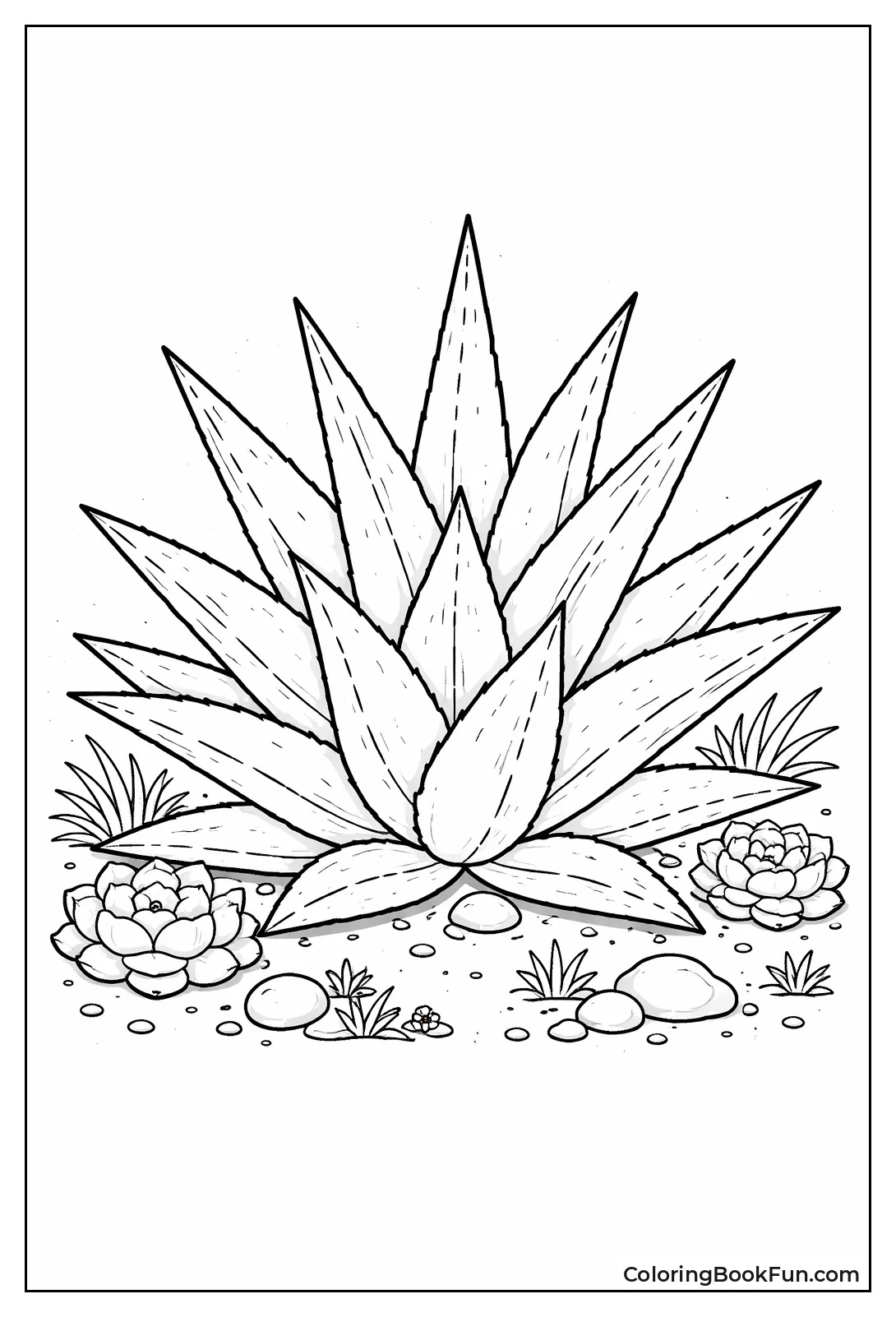 Spiky Agave Leaves Close-Up