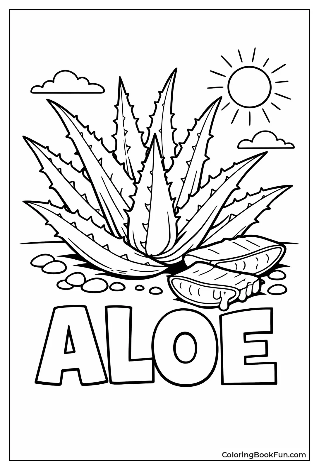 Spiky Aloe Vera Leaves