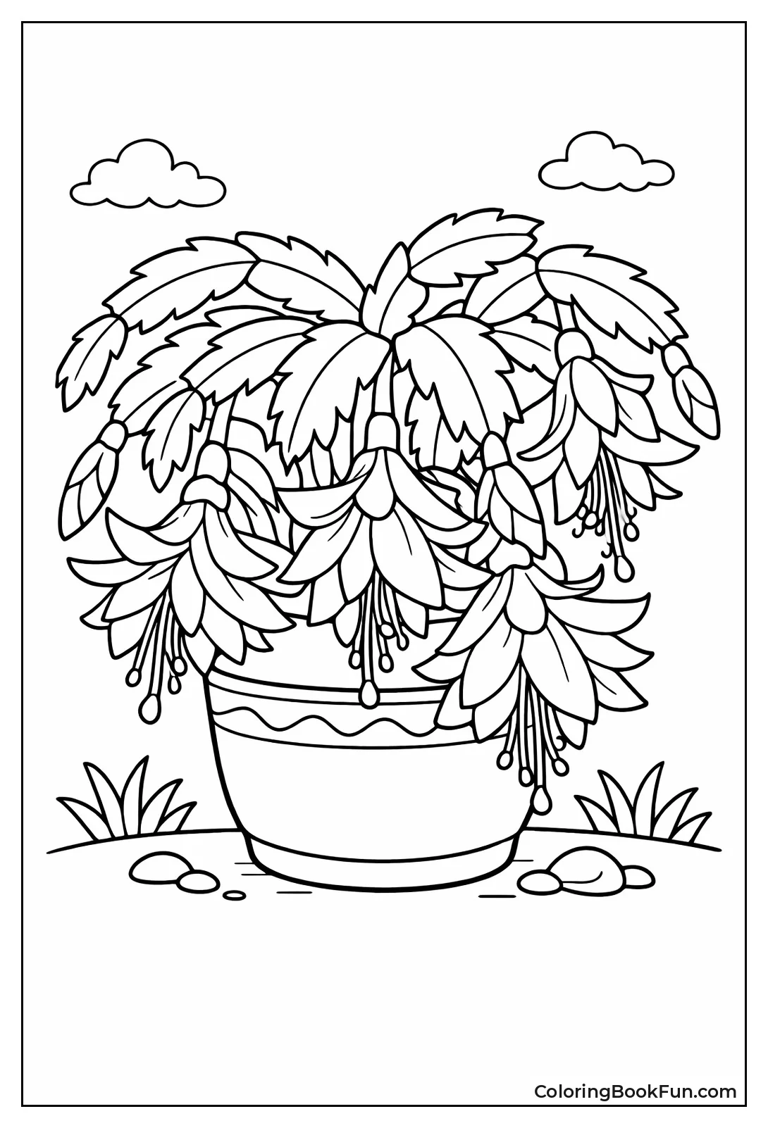 Blooming Christmas Cactus