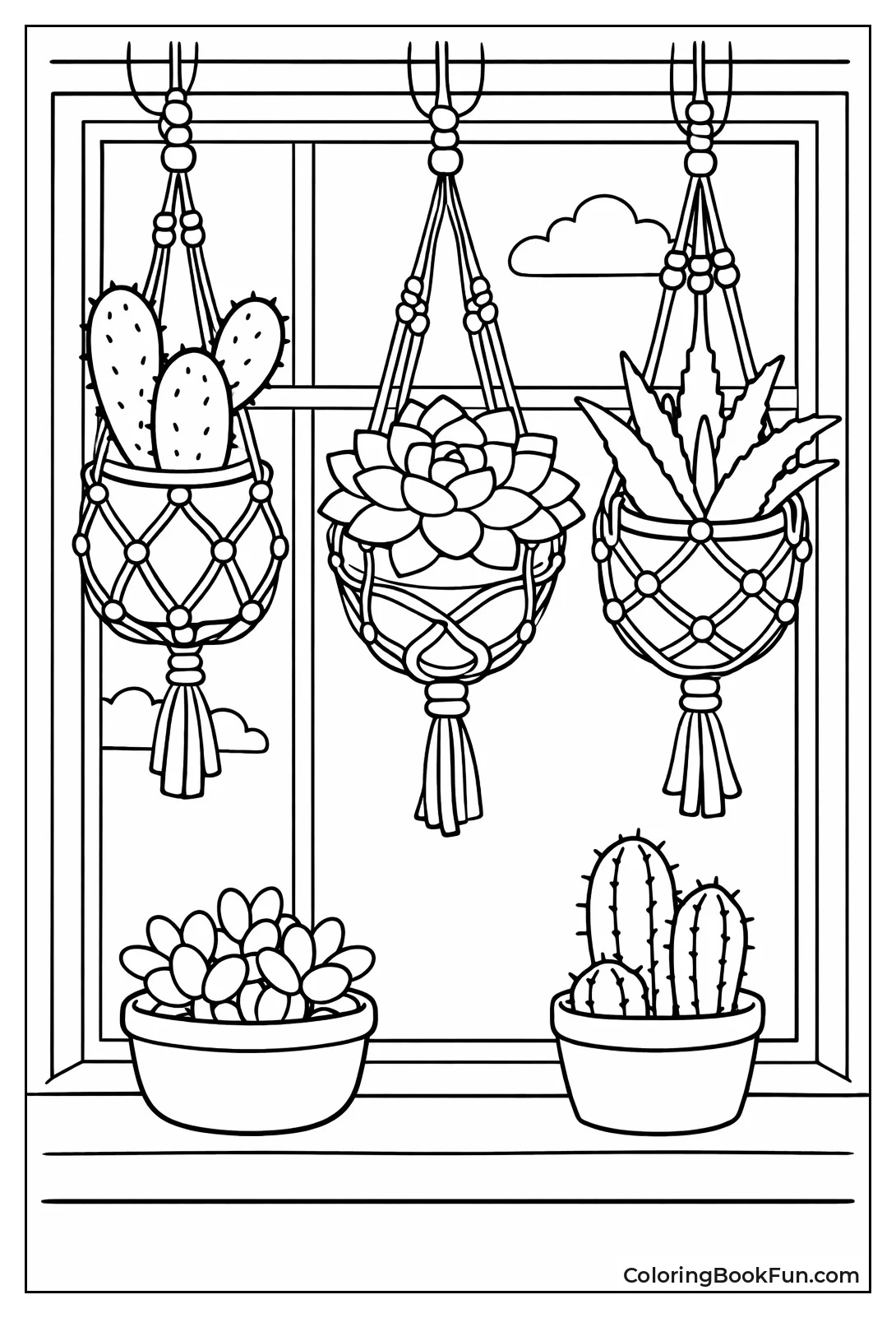 Hanging Macrame Succulents