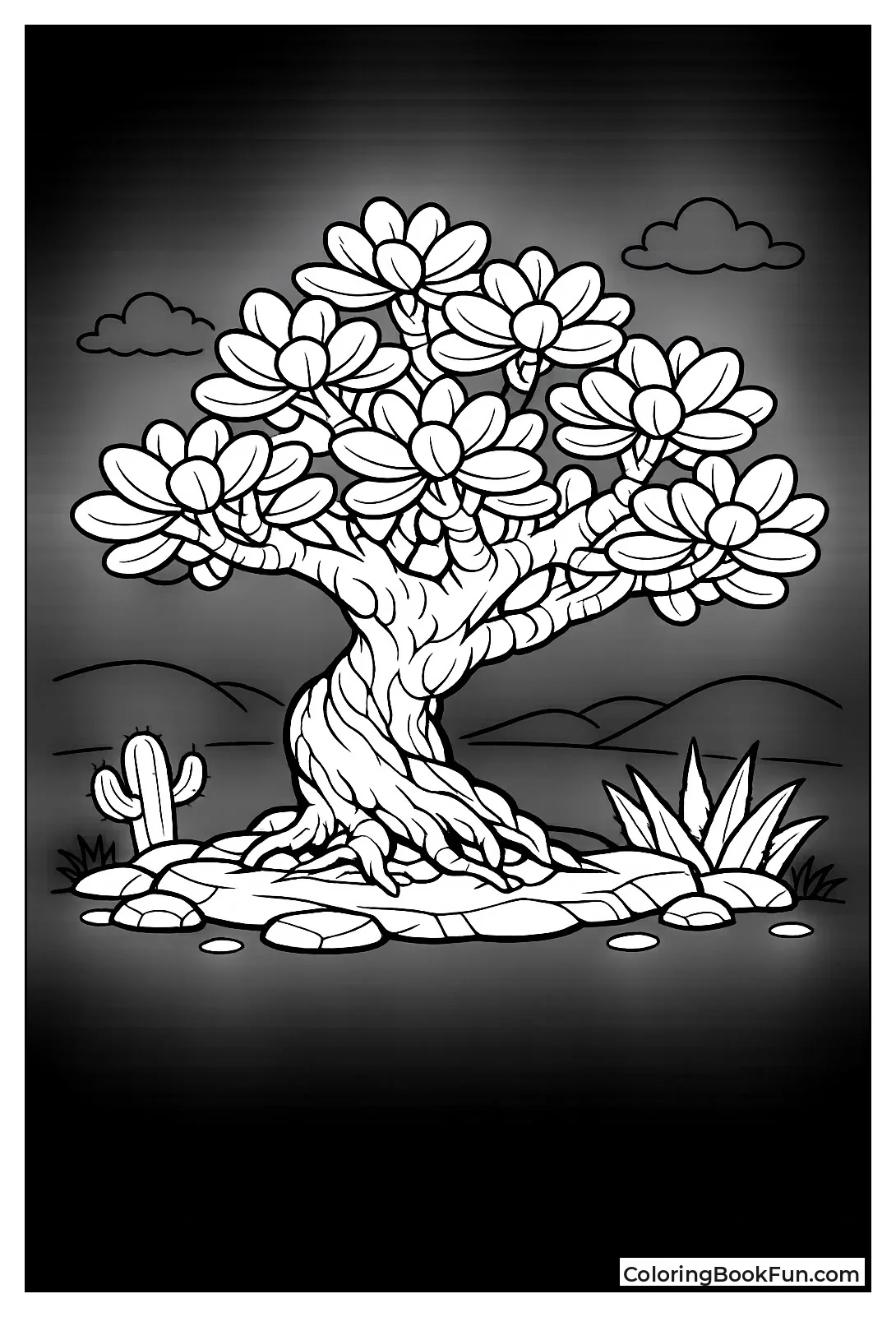 Jade Plant Bonsai Tree