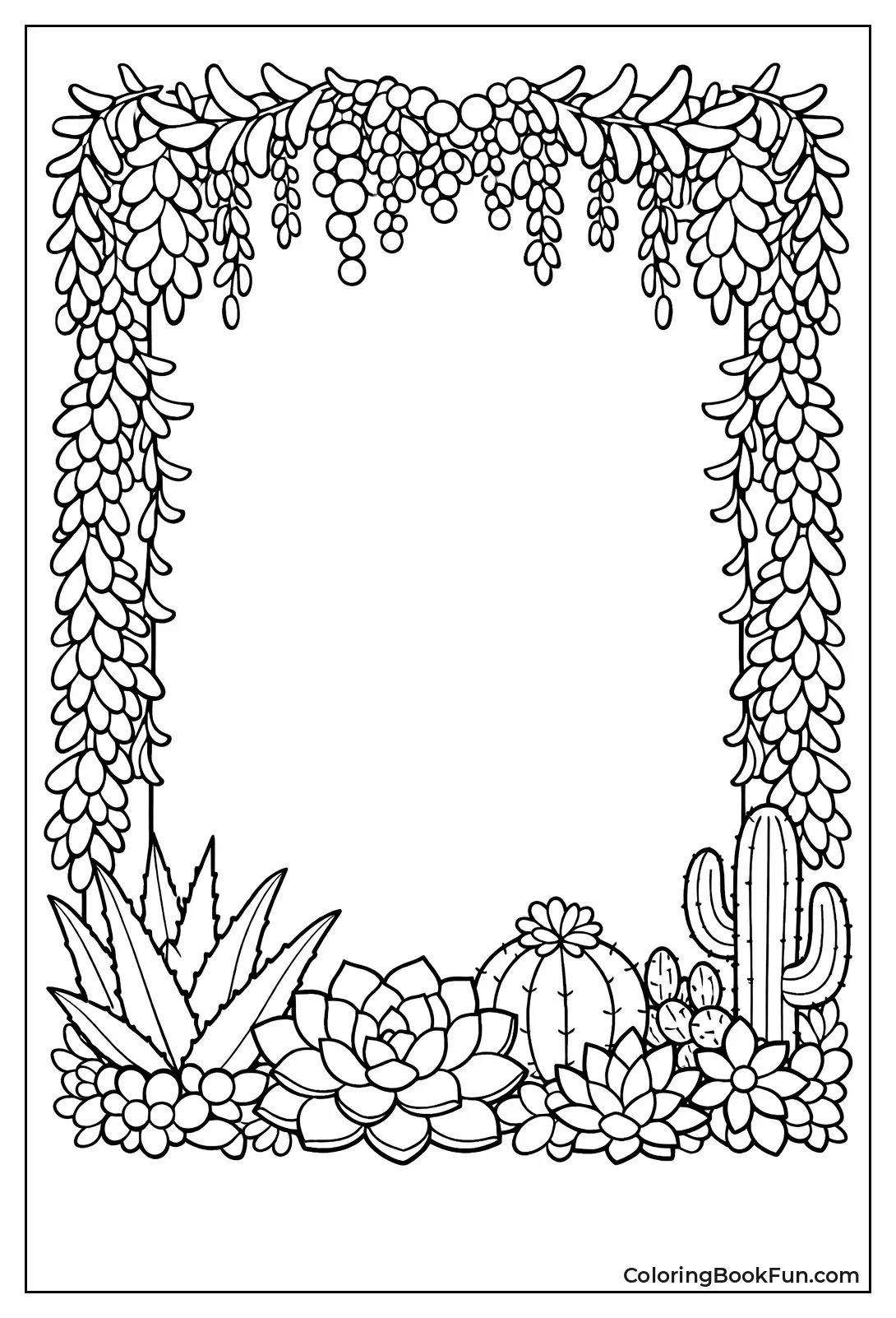 Succulent Trailing Border