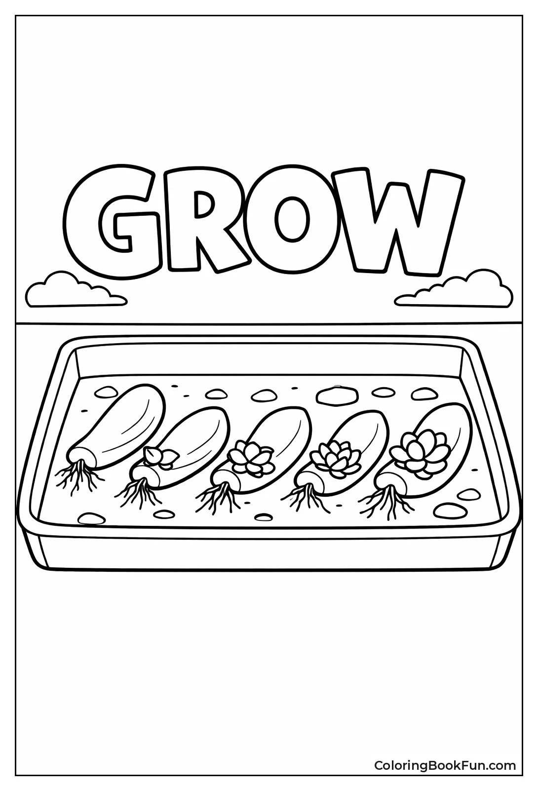 Succulent Leaf Propagation