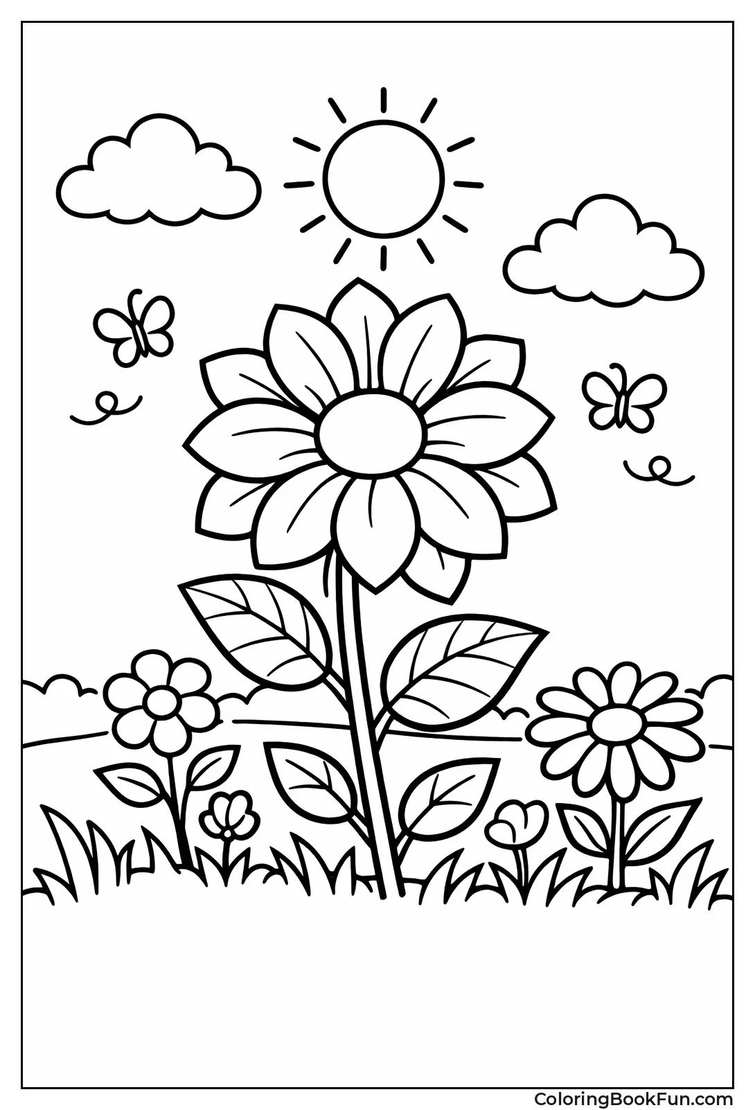 Vibrant Summer Flower Blooms