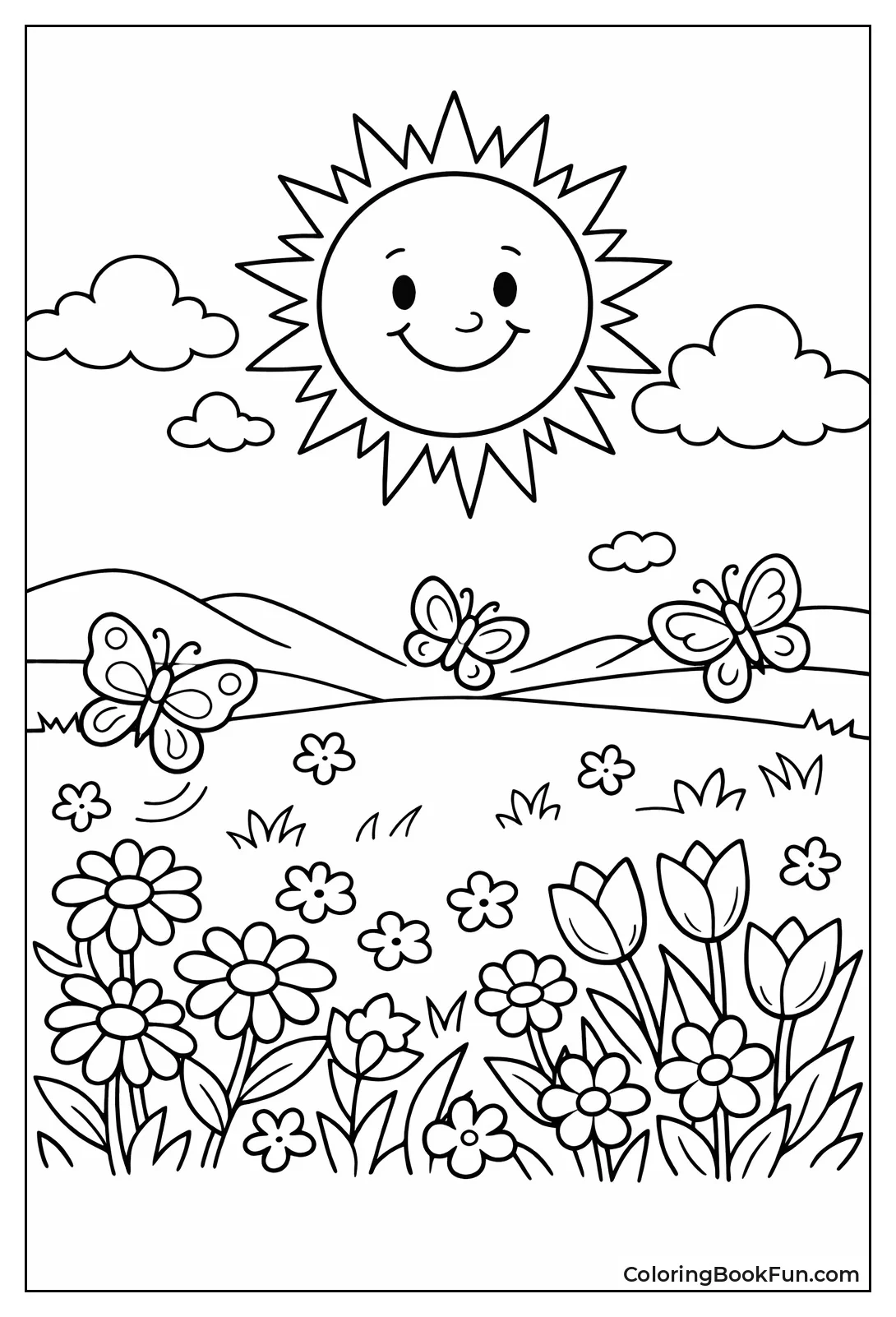 Sun above Wildflower Meadow