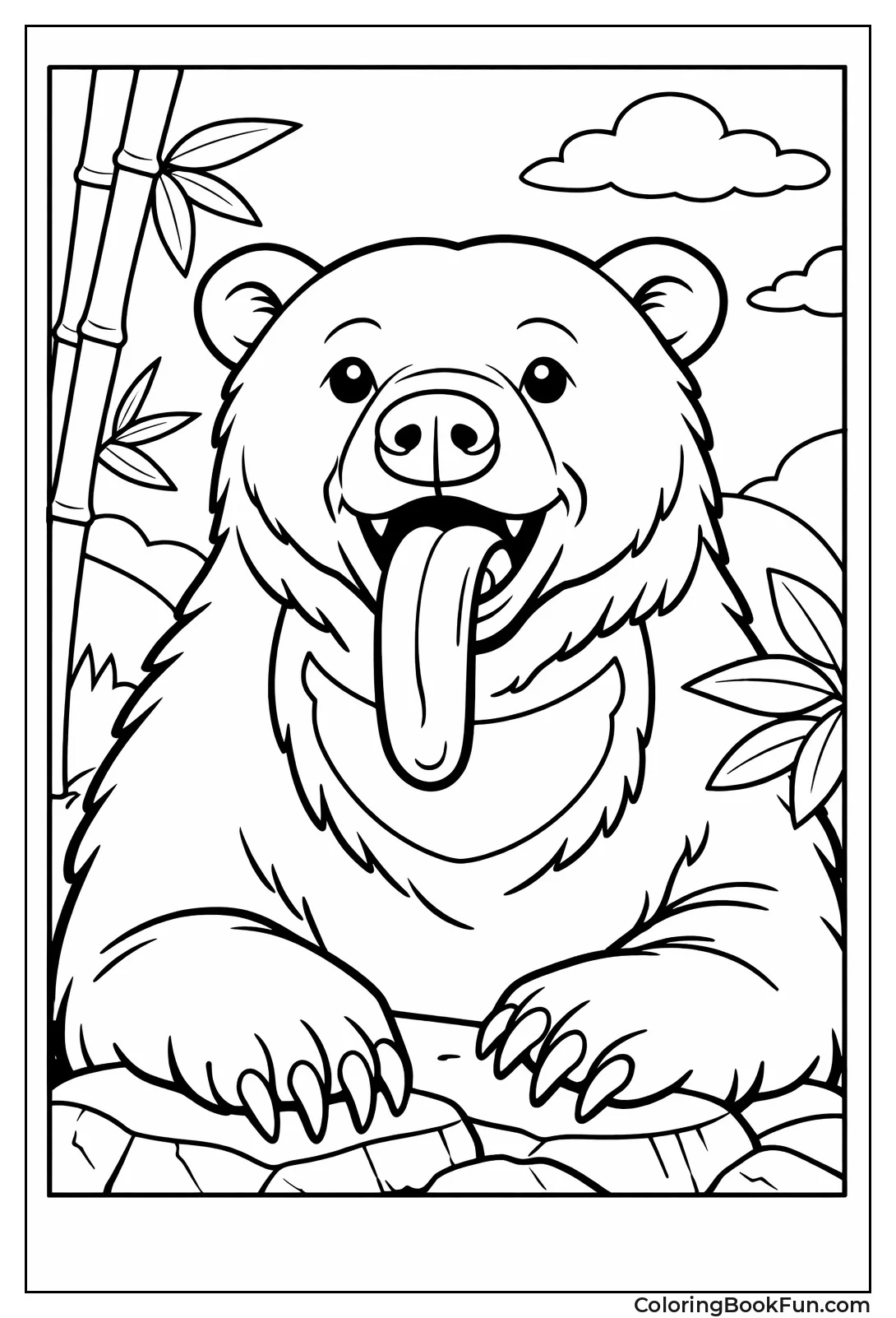 Sun Bear Closeup Portrait