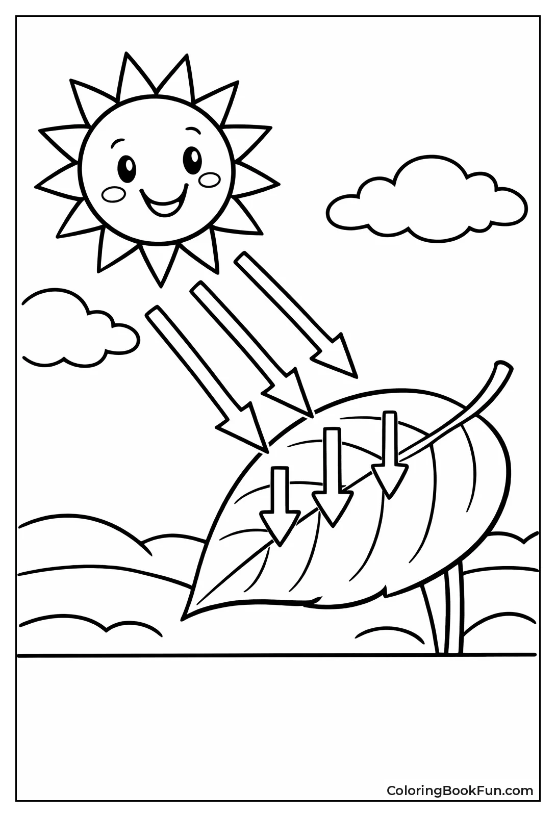 Sunbeams Hitting Green Leaf