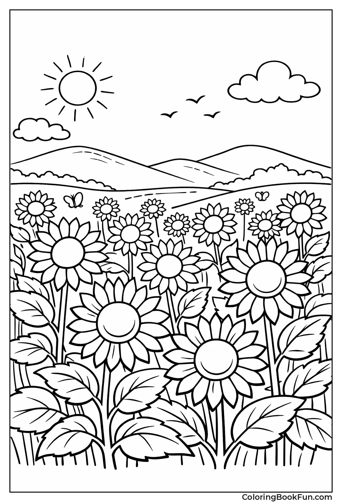 Sunflower Field in Meadow