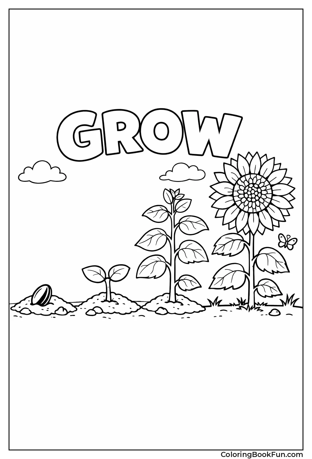 Sunflower Life Cycle Stages