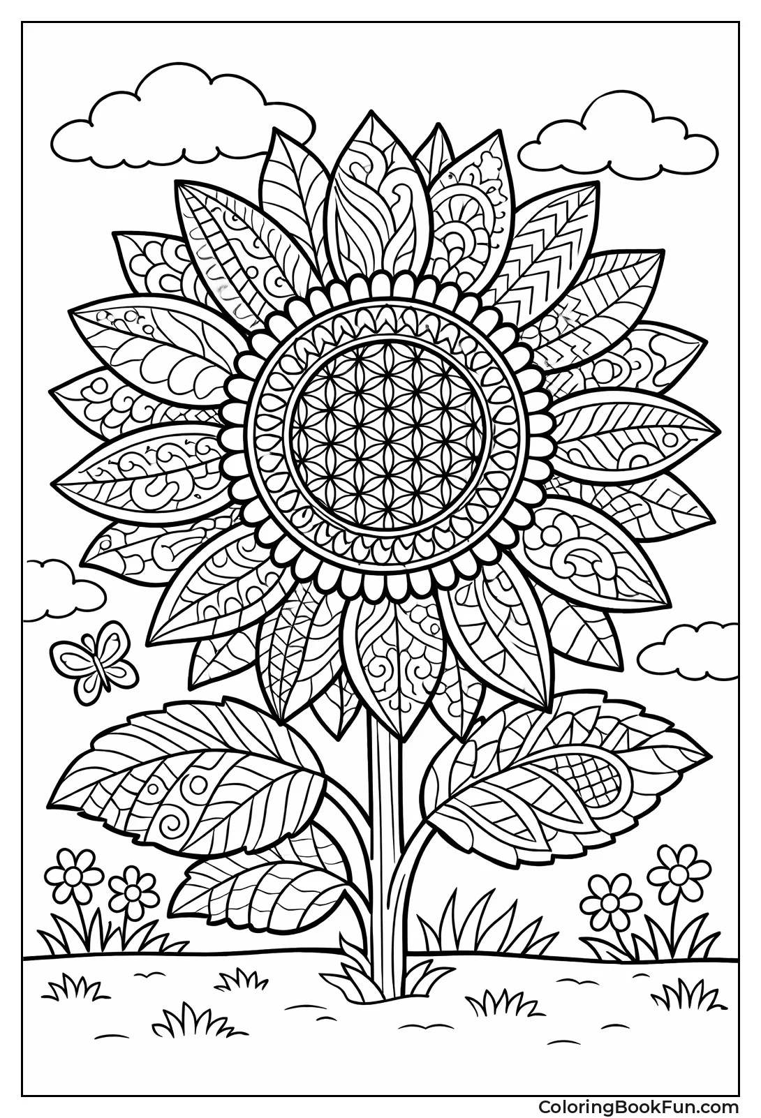 Patterned Petals on Sunflower