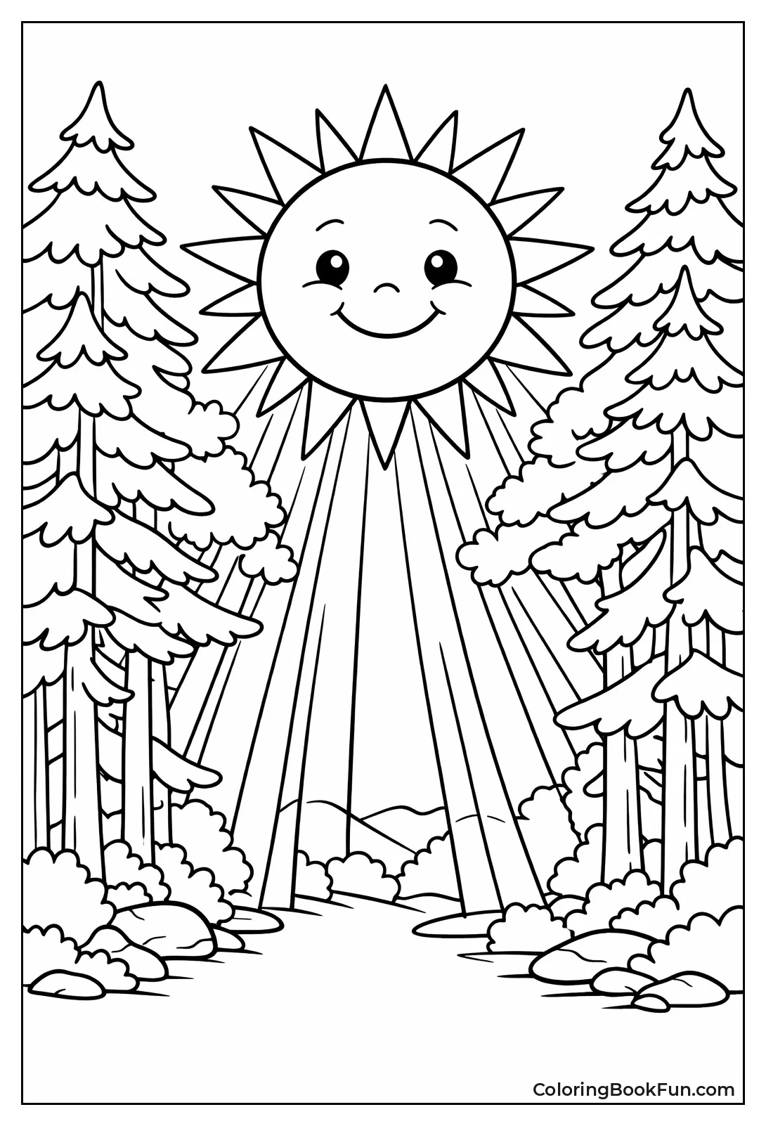 Sun Rays through Pine Forest