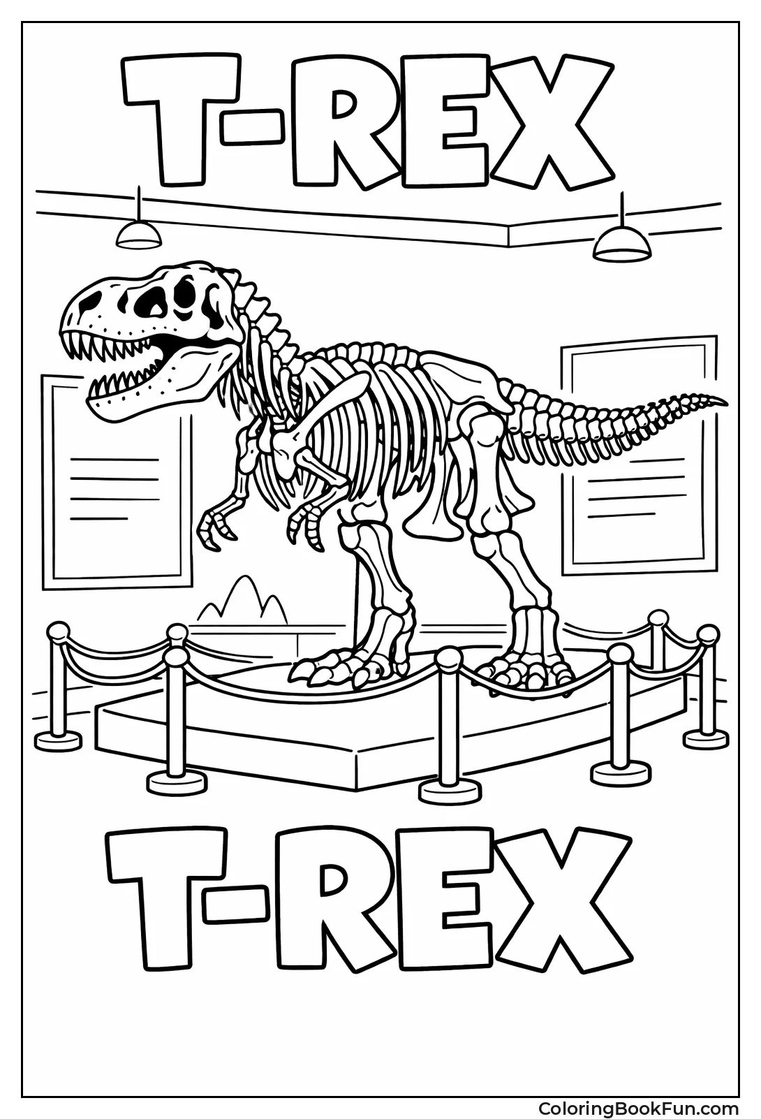 Museum T-Rex Fossil Display