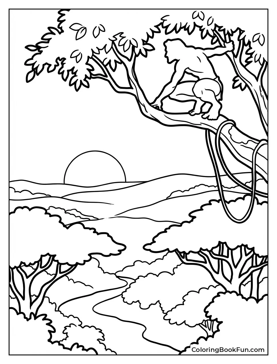 Jungle Canopy at Sunset View