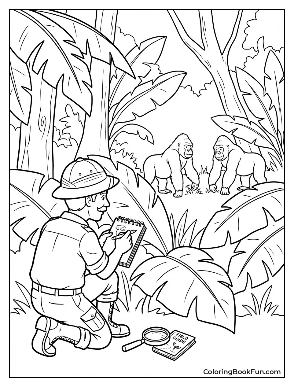 Professor Draws Apes from Hiding