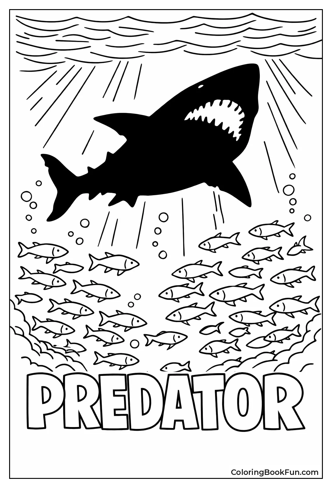 Megalodon Shadow Scares Fish