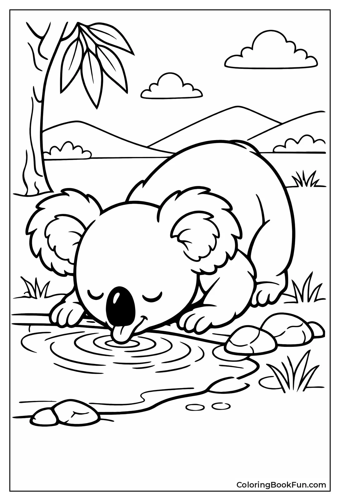 Koala Drinks from Puddle