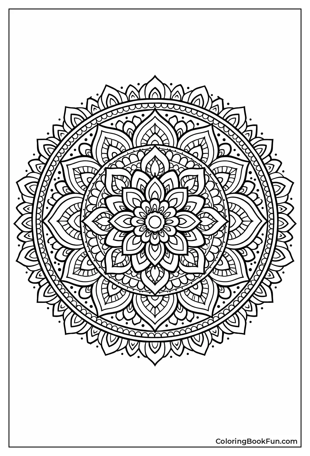 Symmetrical Mandala Calms with Details