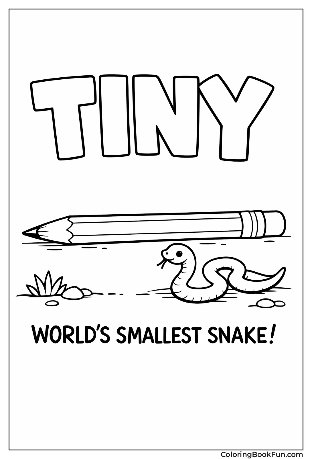 Tiny Snake by Pencil
