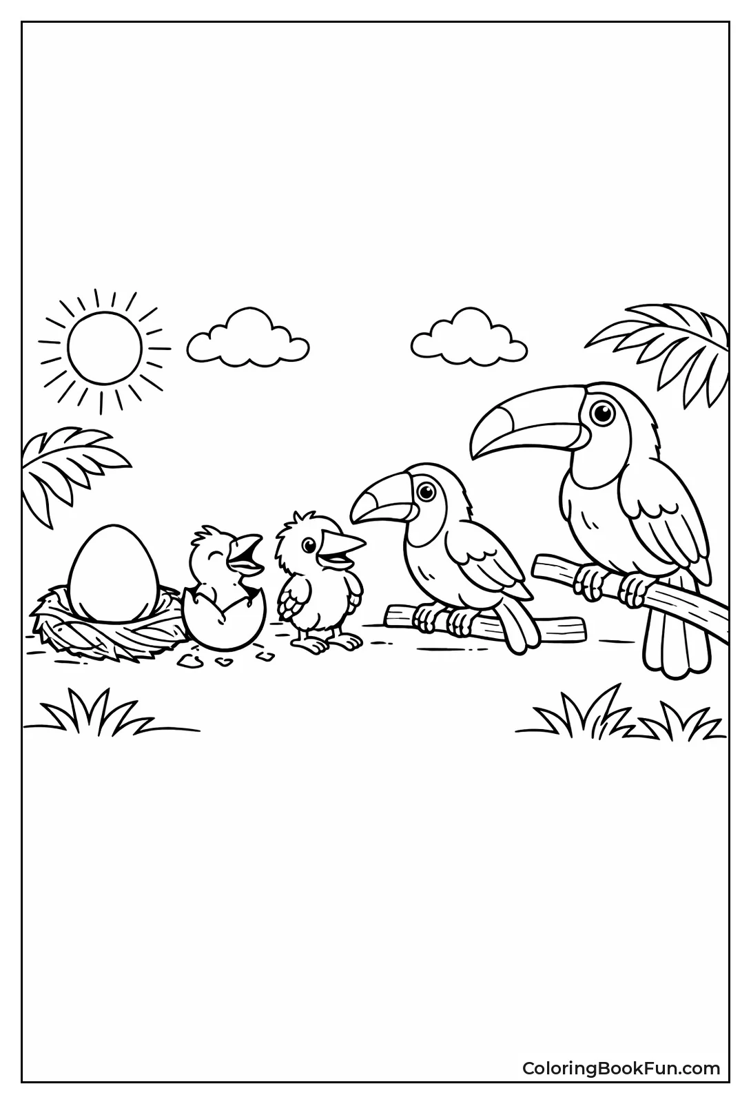 Toucan Life Cycle Stages