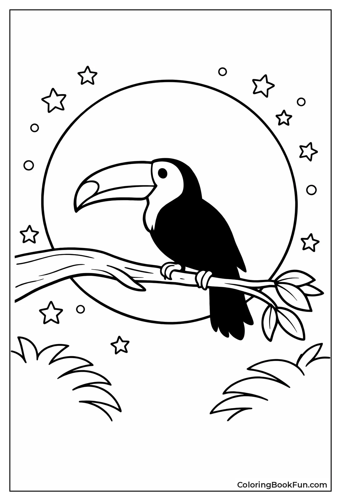 Night Toucan Silhouette Moon