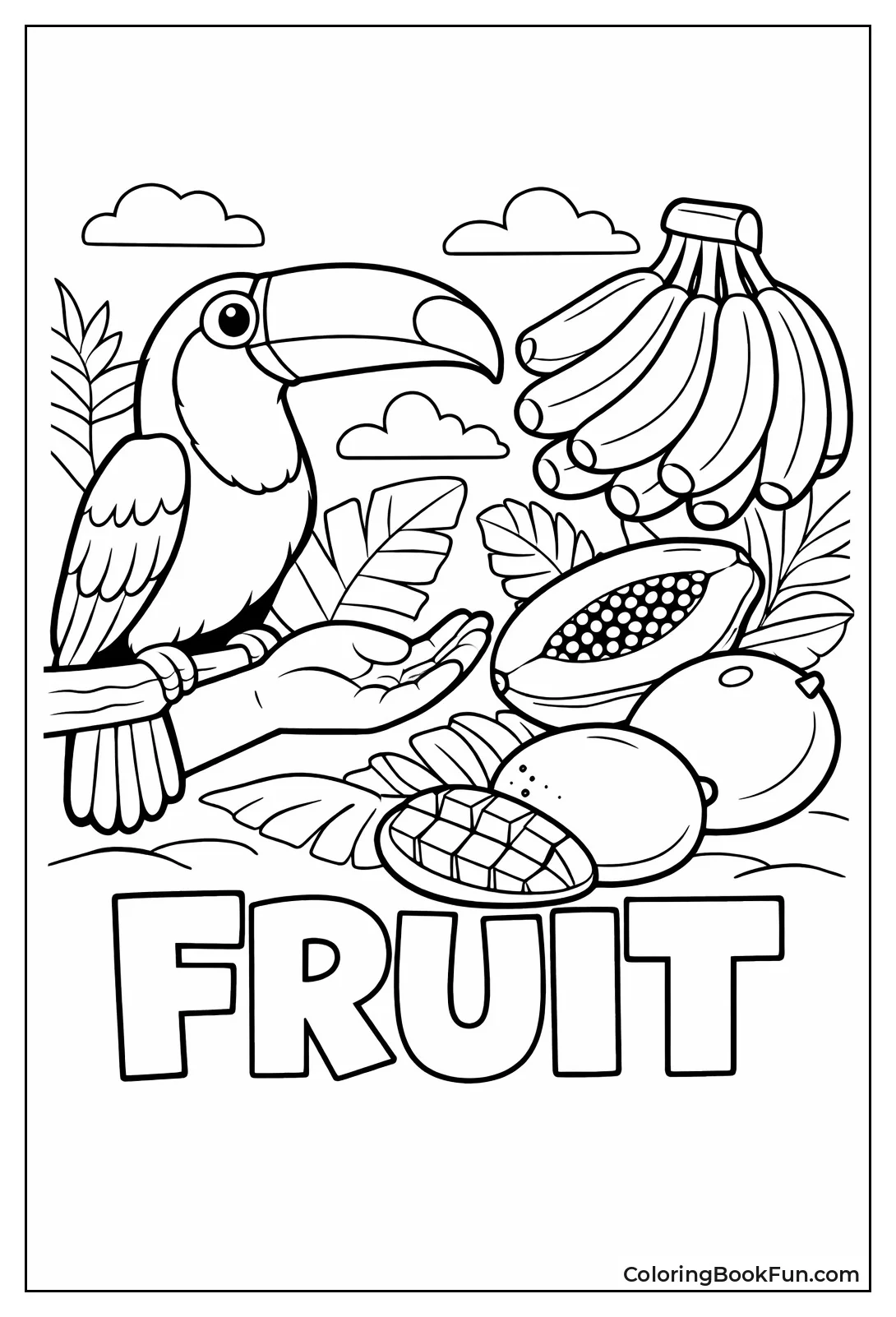 Toucan Size with Fruits