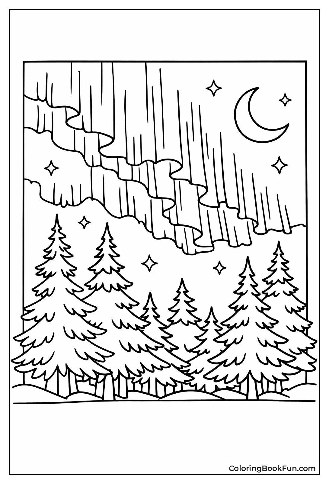 Aurora Lights over Spruces