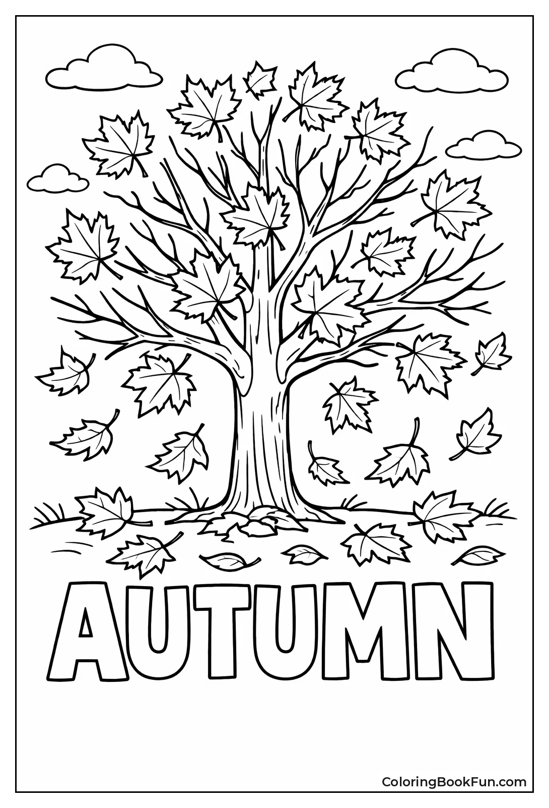 Autumn Maple Drops Leaves