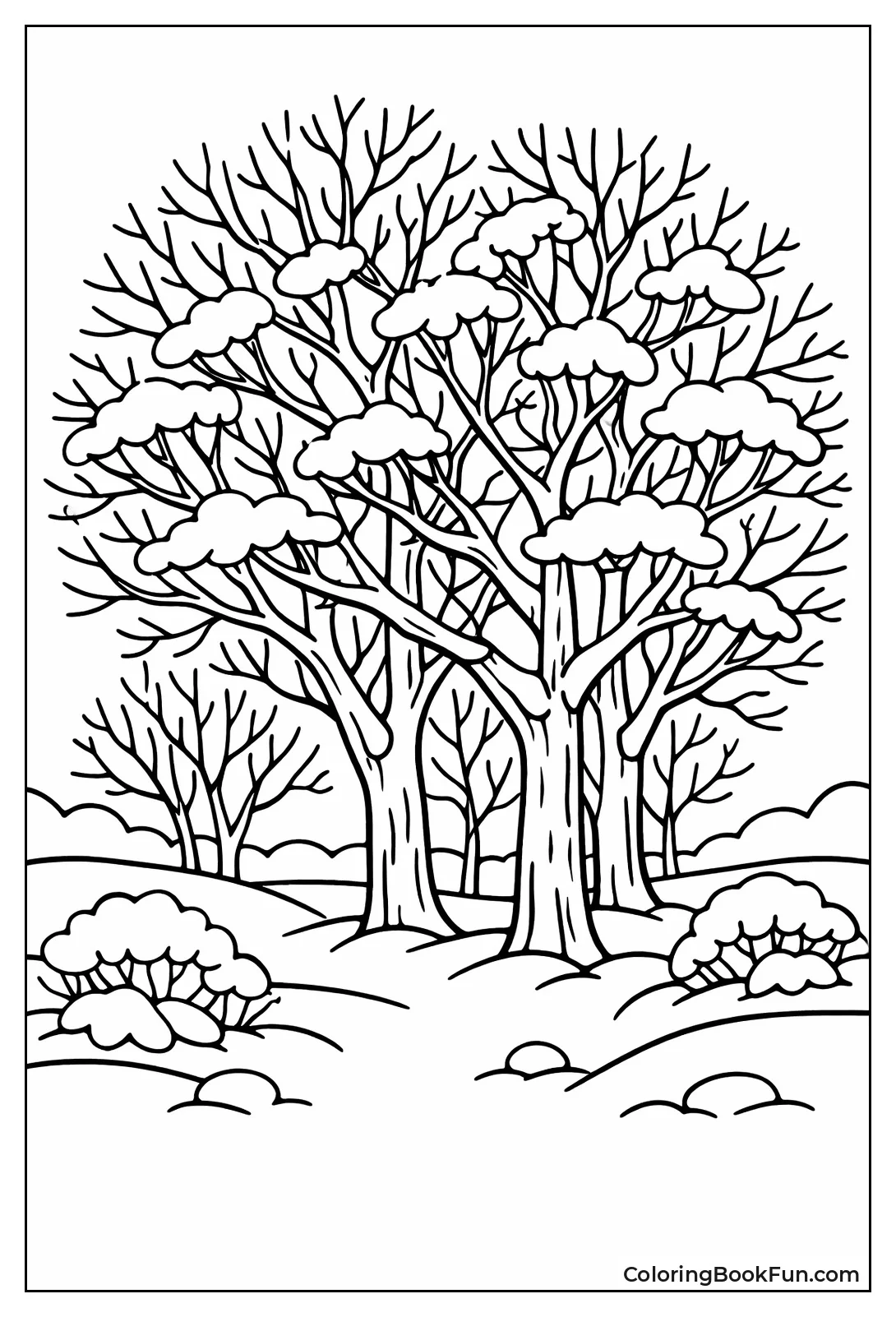 Bare Winter Forest Scene