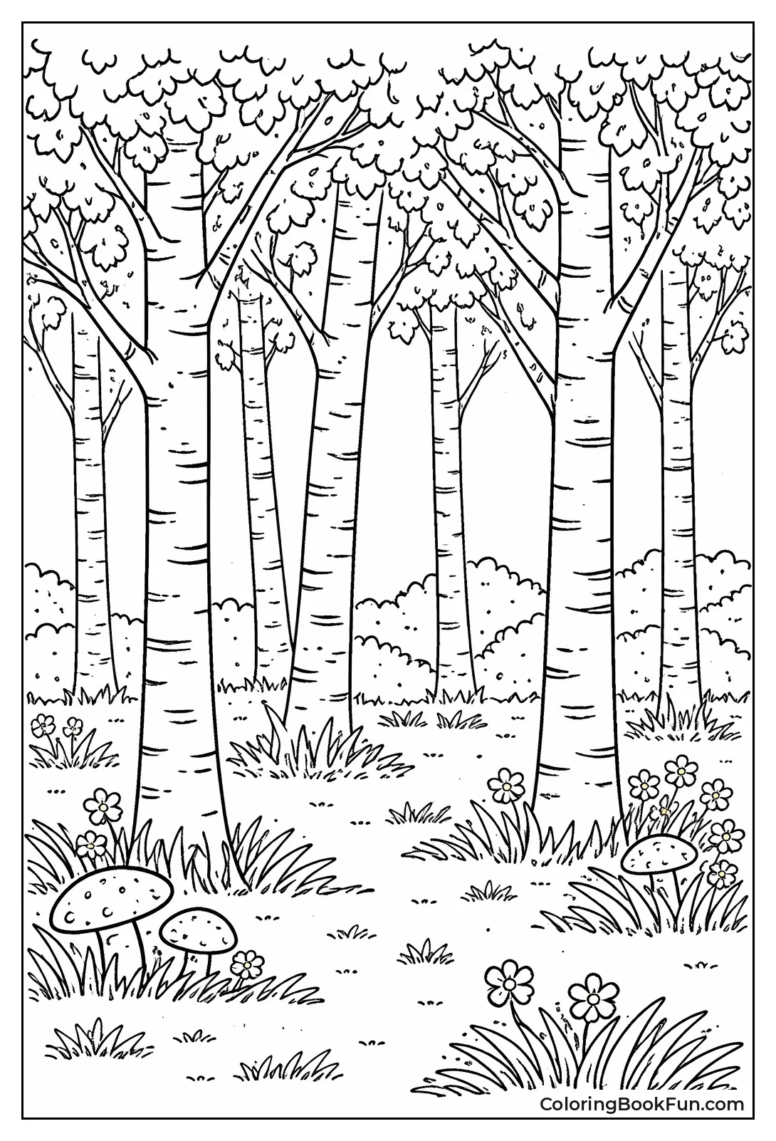 White Birch Grove Shadows