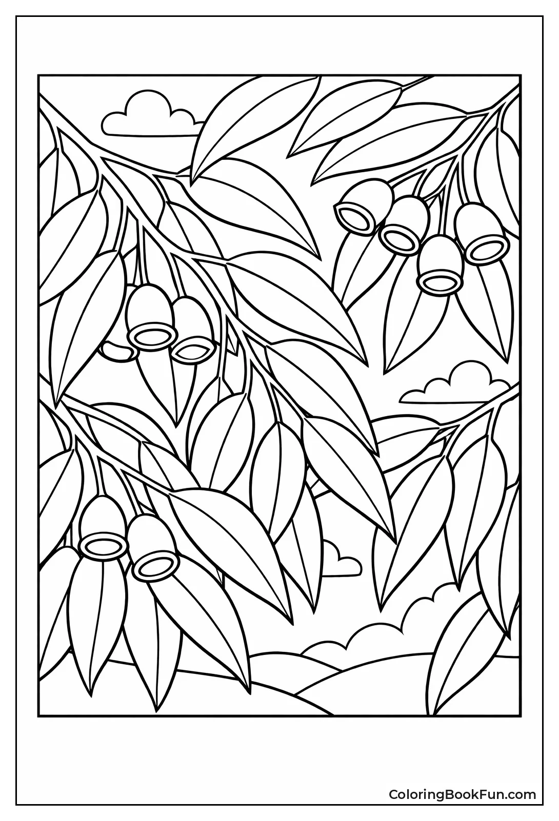 Eucalyptus Leaves and Branches