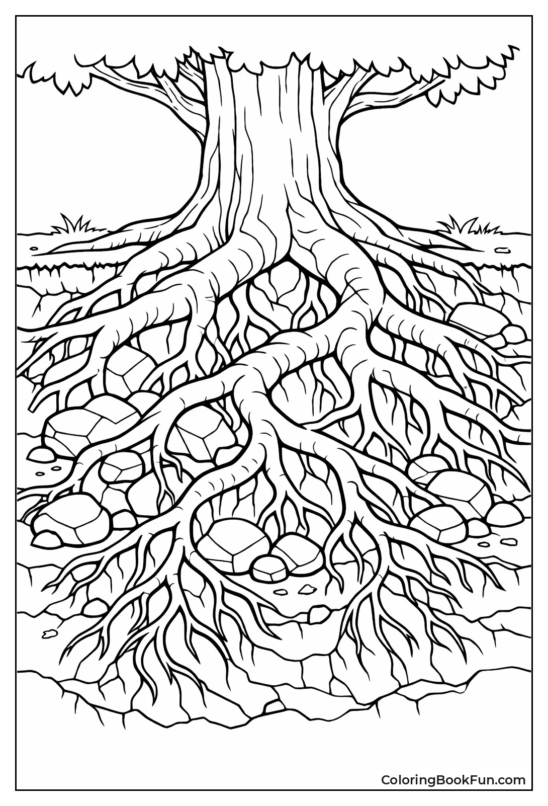 Massive Underground Tree Roots