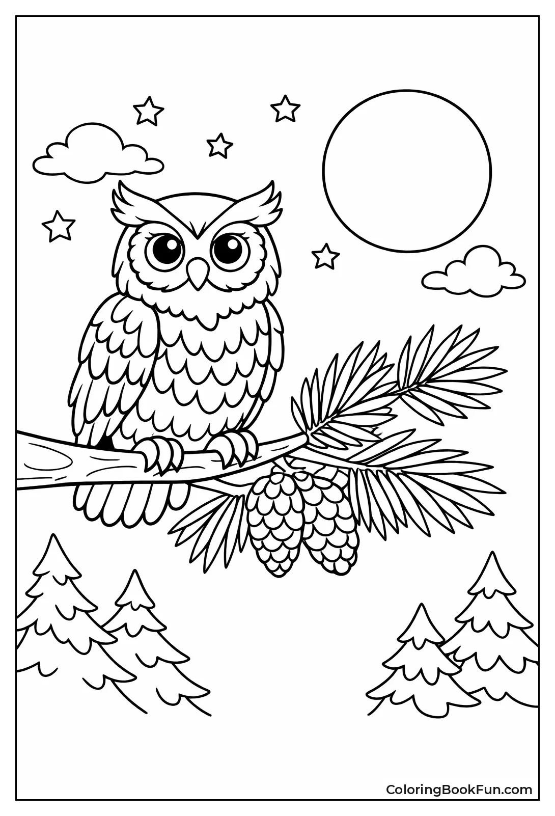 Owl Perches on Pine