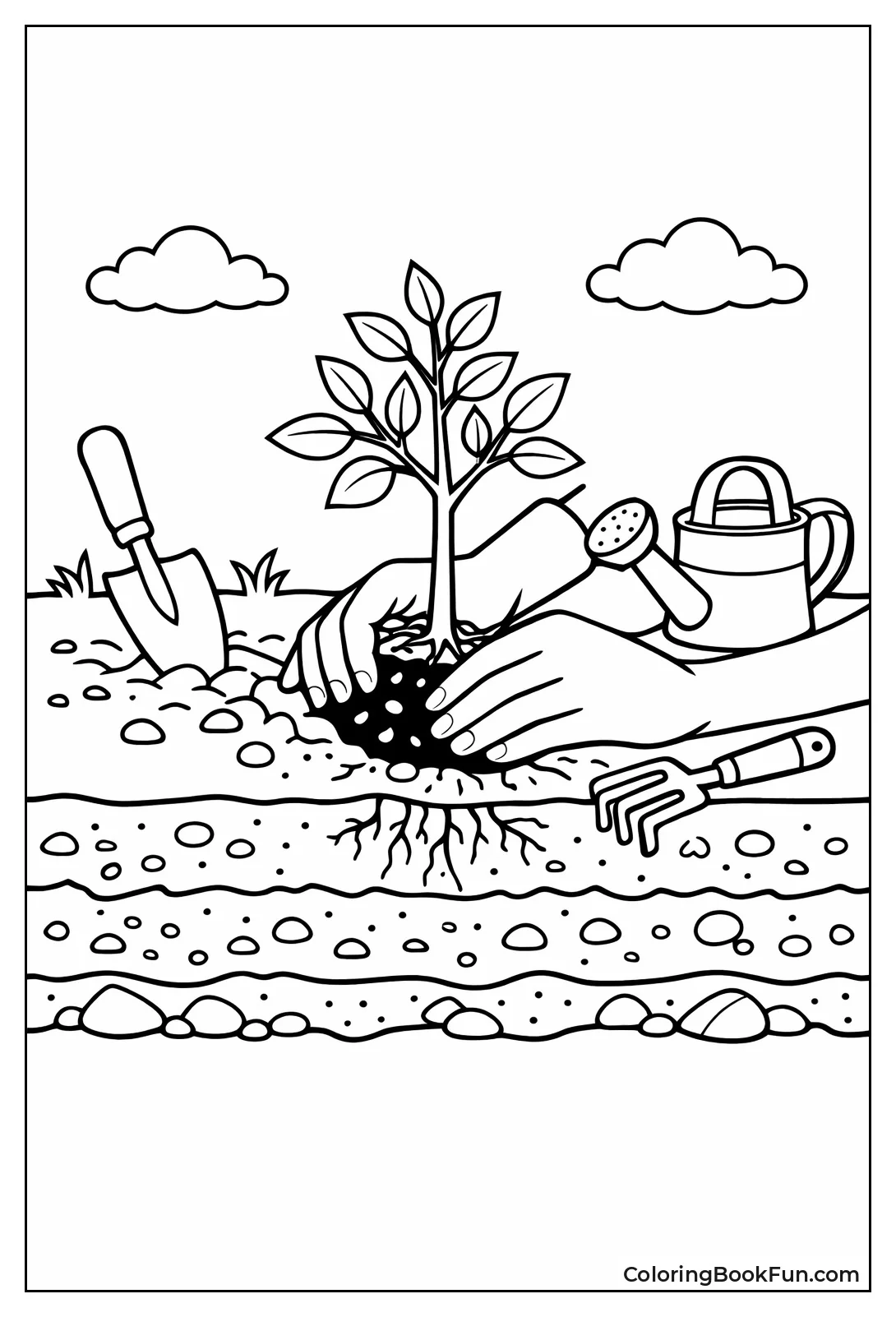 Hands Plant Young Sapling