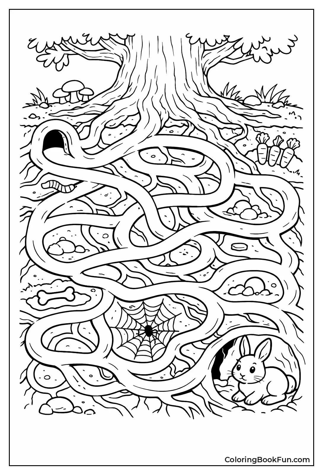 Rabbit Burrows Tree Roots