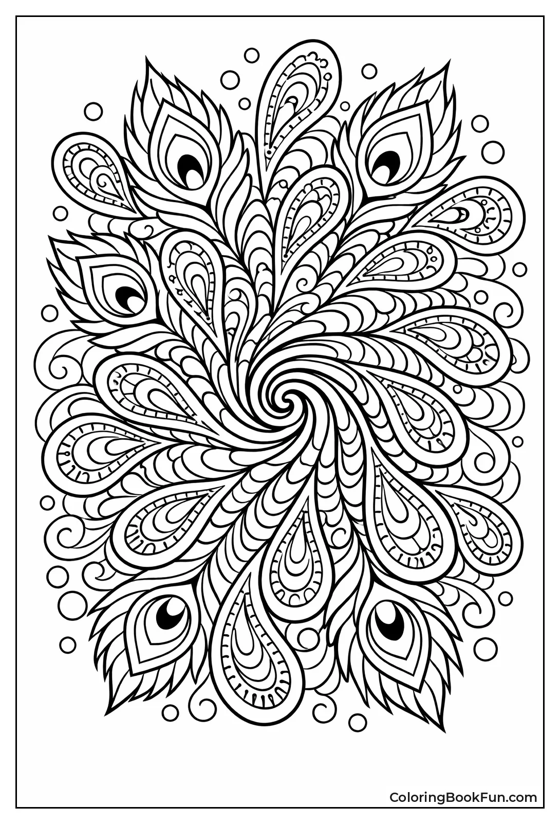 Paisley Peacock Feathers