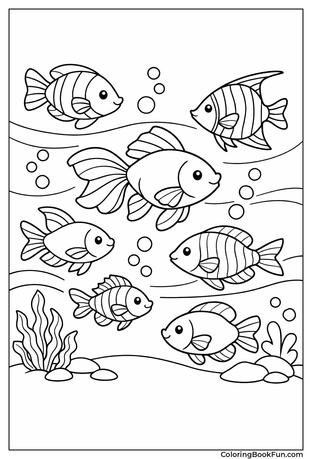 School of Tropical Fish