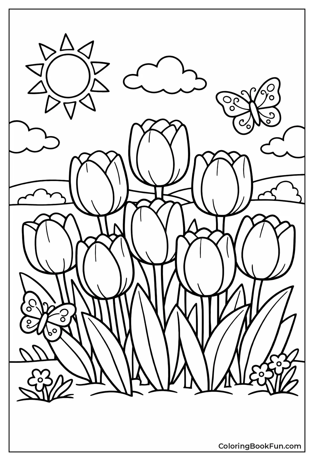 Tall Darwin Hybrid Tulips