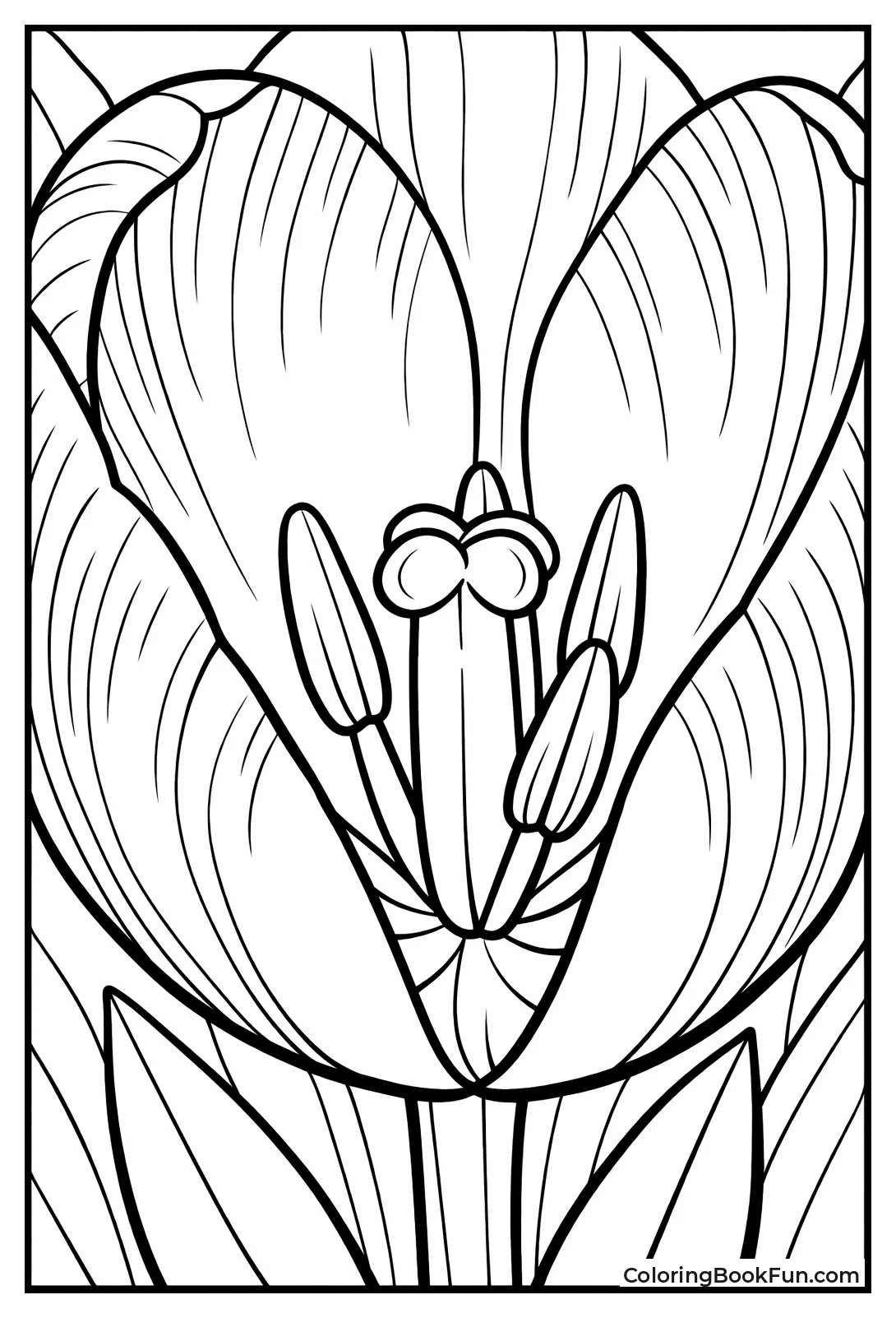 Close-Up Tulip Petal Veins