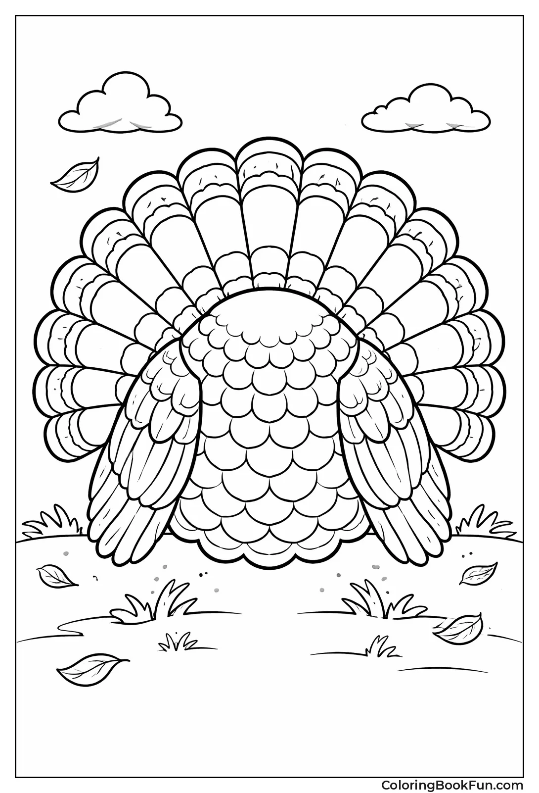 Turkey Body Outline