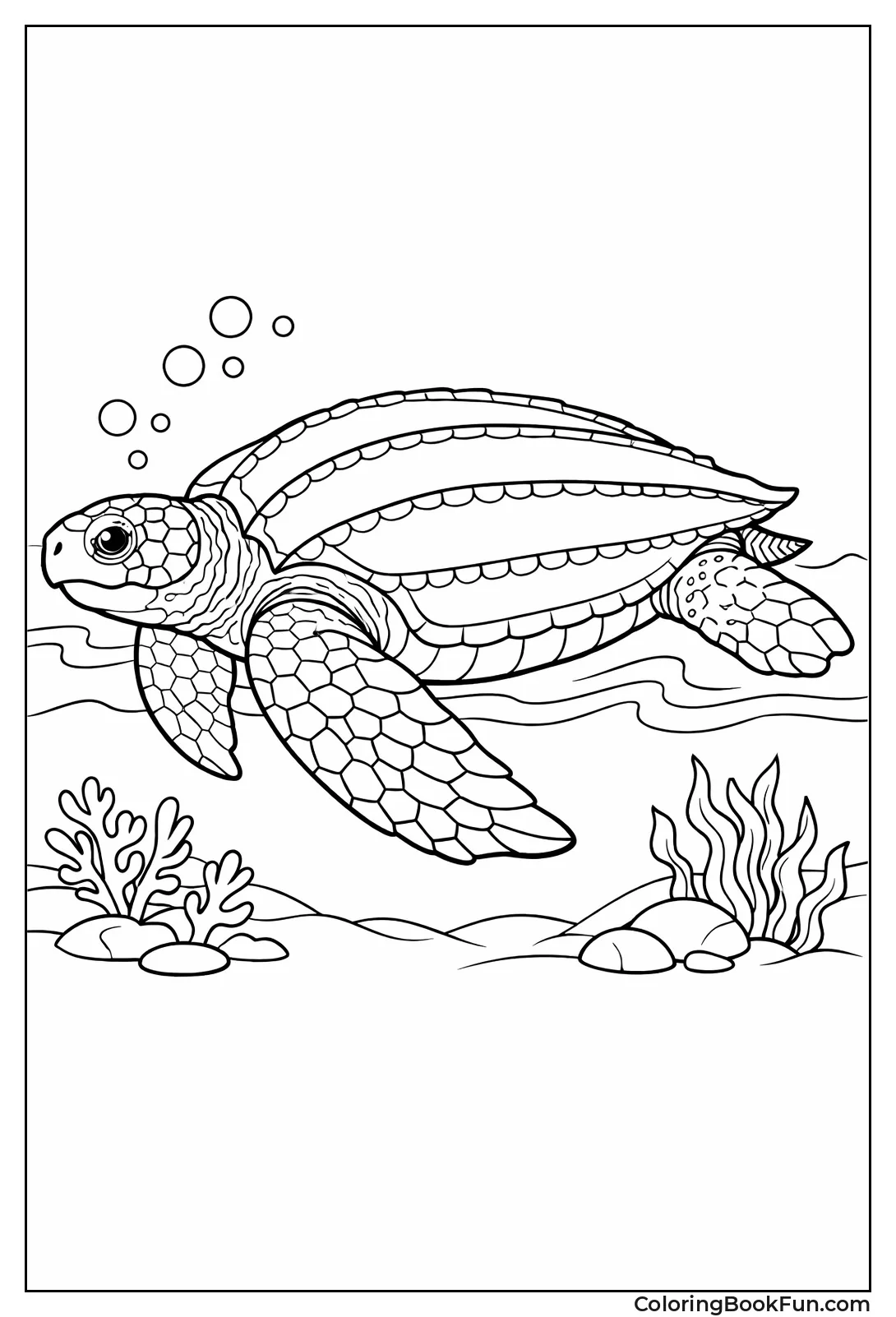 Detailed Leatherback Turtle Profile