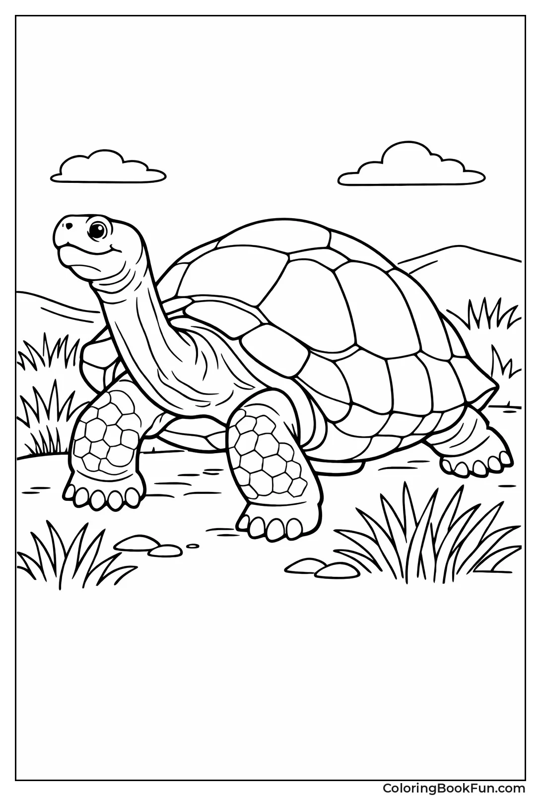 Giant Galapagos Tortoise Walking