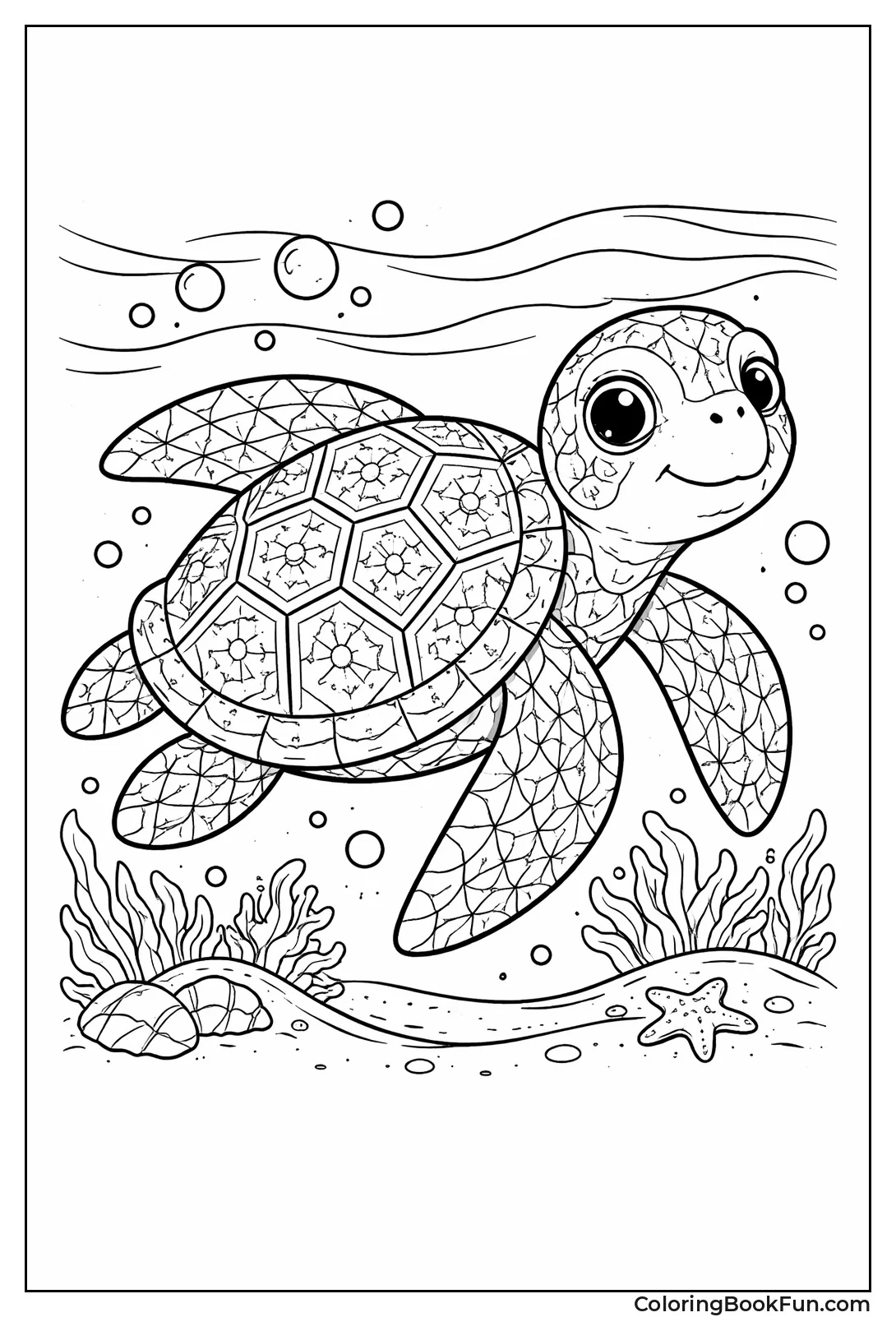 Geometric Patterned Turtle Shell