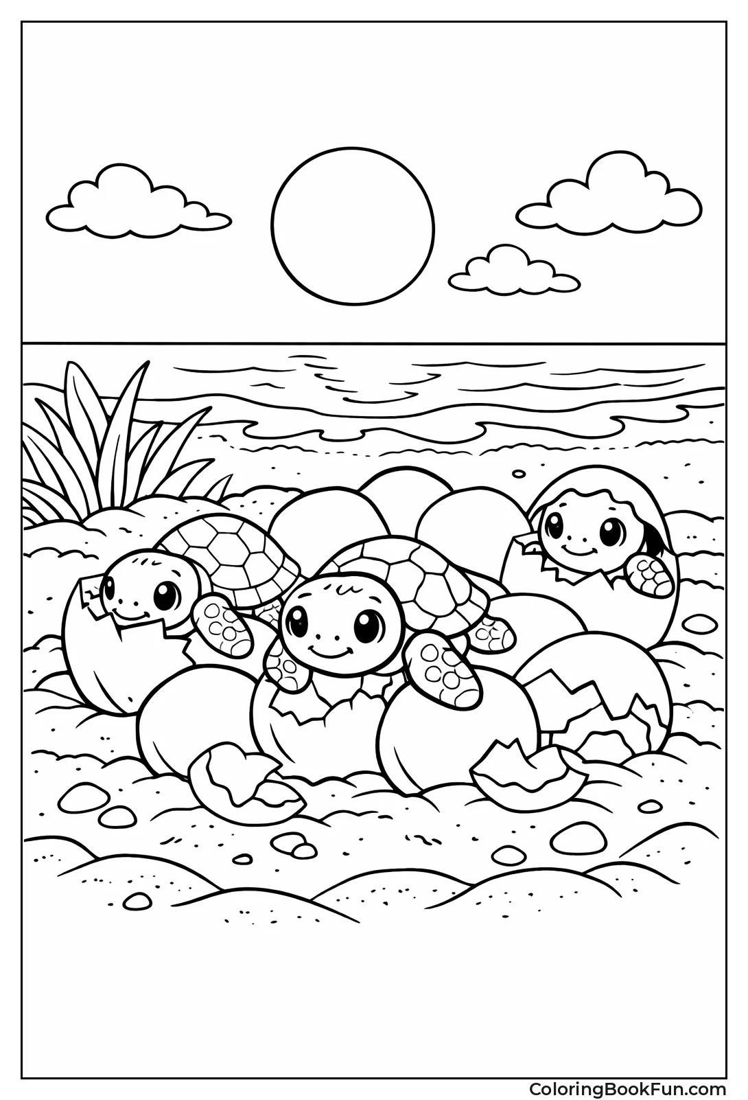 Hatching Turtles on Beach