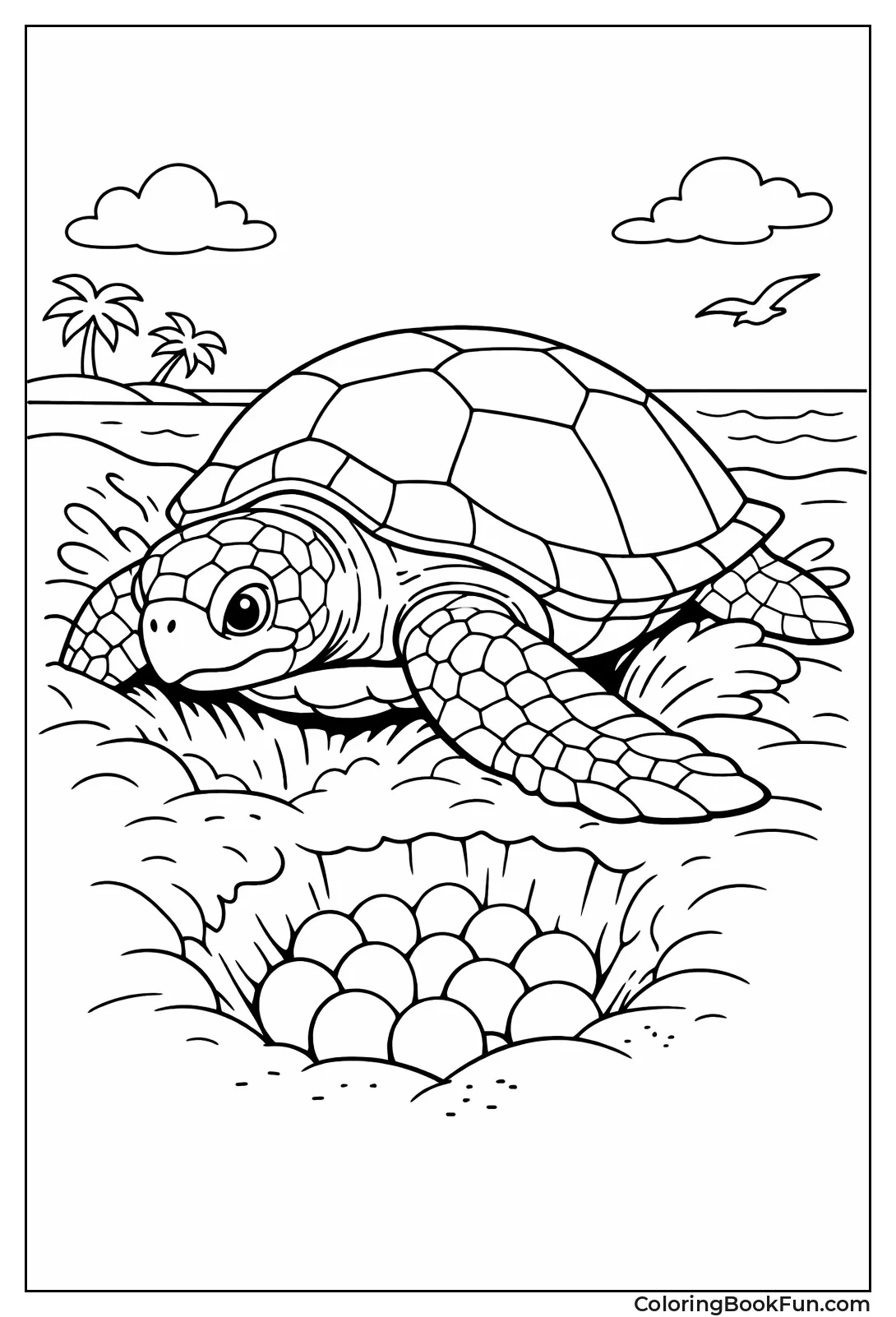 Loggerhead Turtle Digging Nest